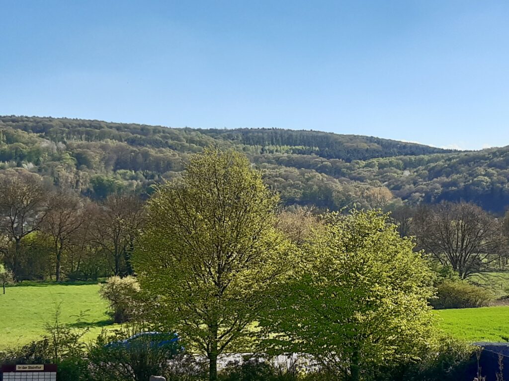 Blick ins Ahrtal mit Feld und Wald
